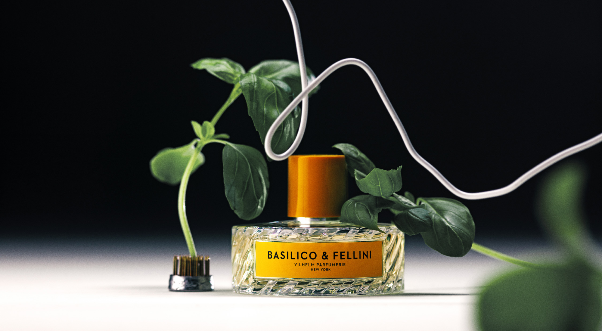 BASILICO & FELLINI - A SENSORIAL ITALIAN FANTASY