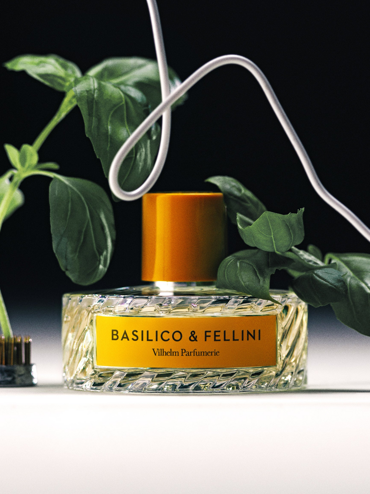 BASILICO & FELLINI