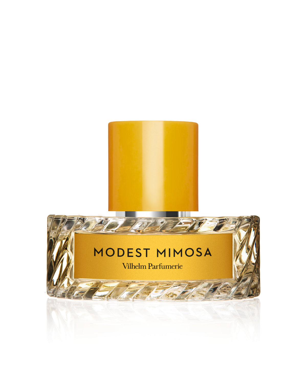 MODEST MIMOSA