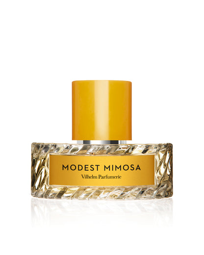 MODEST MIMOSA