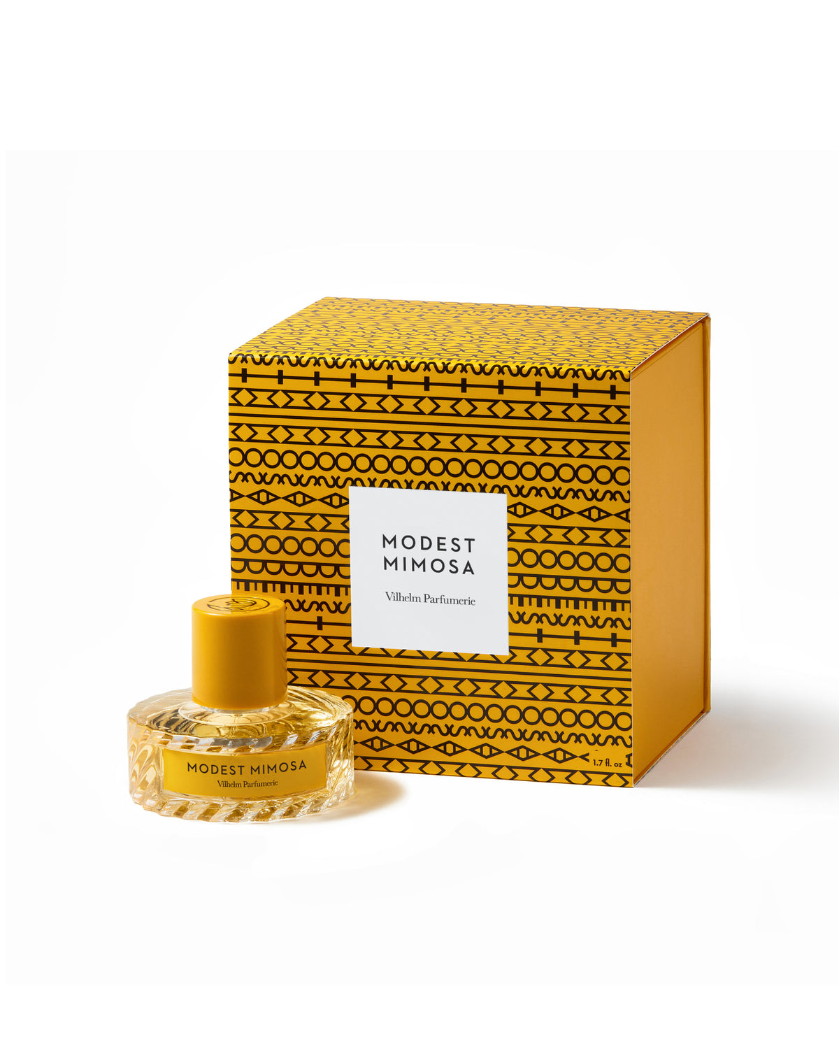 MODEST MIMOSA