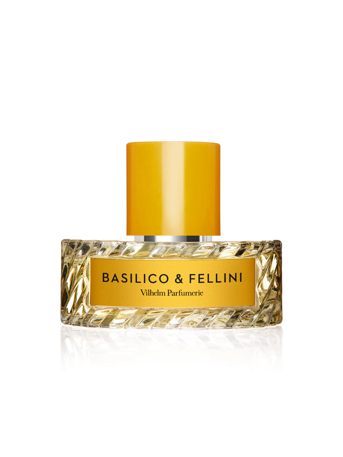 BASILICO &amp; FELLINI