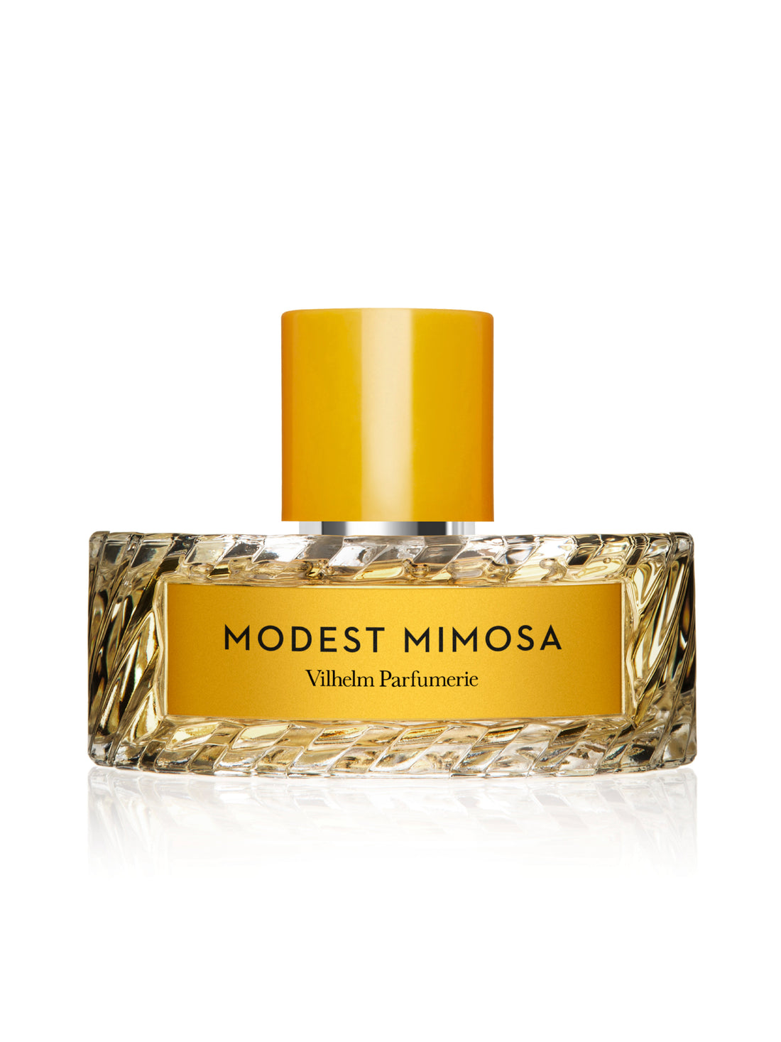 MODEST MIMOSA