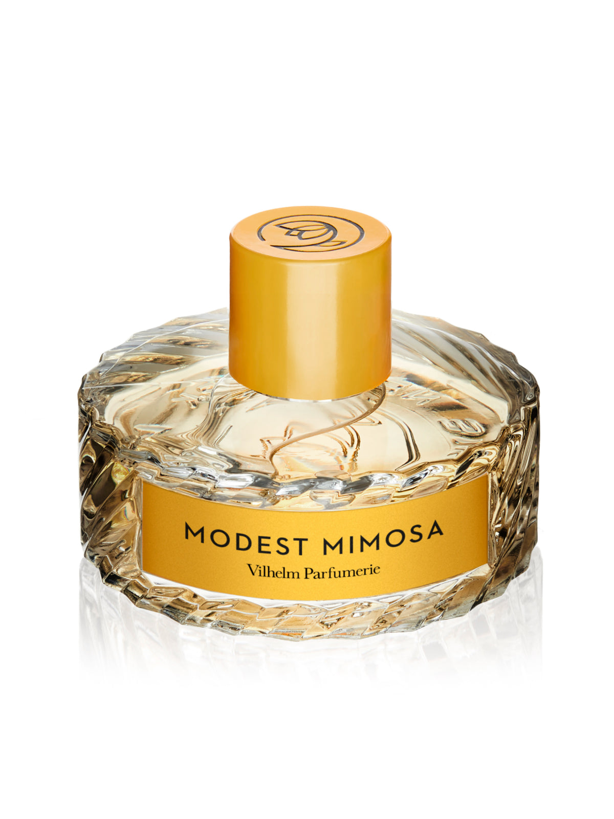 MODEST MIMOSA